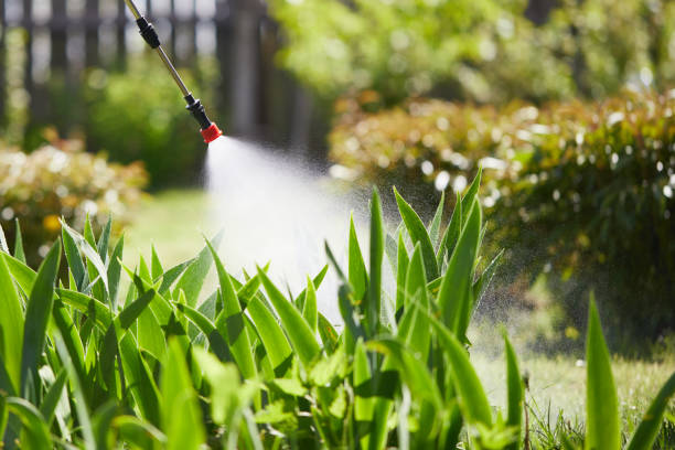 Tamper-Resistant Bait Stations for Rodents in Gretna