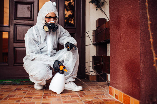 Attic and Crawl Space Rodent Treatment in Gretna