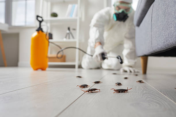 Commercial Rodent Management in Gretna